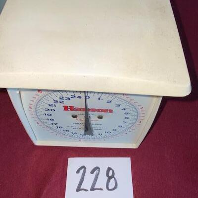 Lot 228 - Hanson Scale