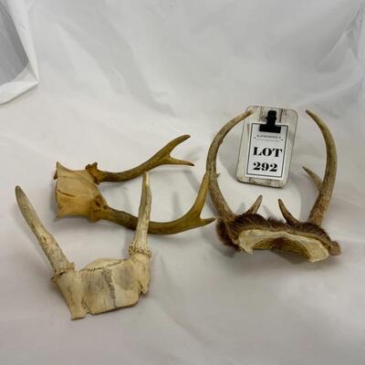 .292. Three Small Sets of Antlers