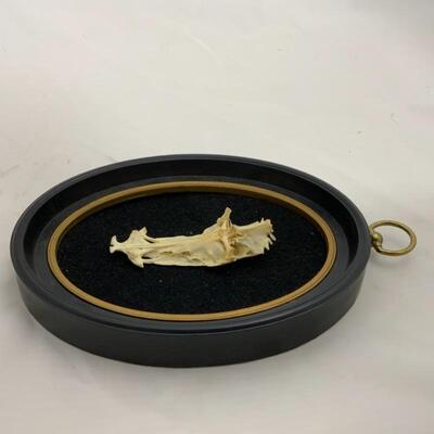 .294. Framed Crucifix Fish