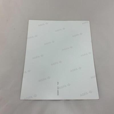 .300. Eight Tv & Movie Star Autographed 8x10s | BLAIR | GRAY | HONG