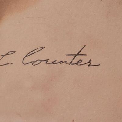 Lot 65: (2) 1959 C. COUNTER Siamese Pictures