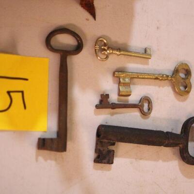 Lot 15 Skeleton Keys