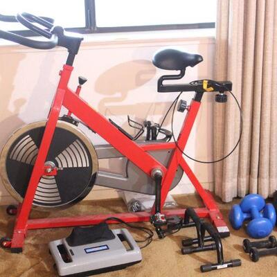 Lot 36 Sunny Indoor Cycling Bike, Weights, Neck Massage & More