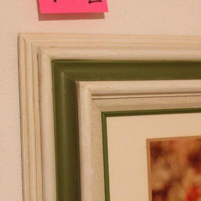 Lot 102 Pair of Framed Floral Photographs