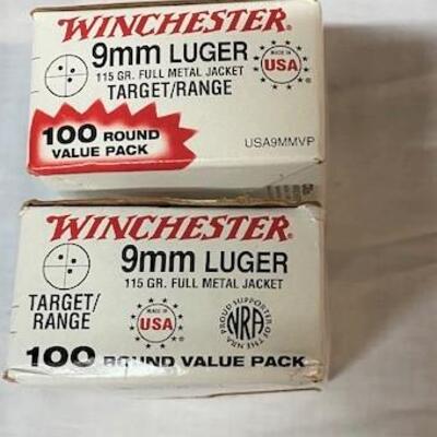 LOT#10: Winchester 9mm Luger 115gr FMJ (#1)