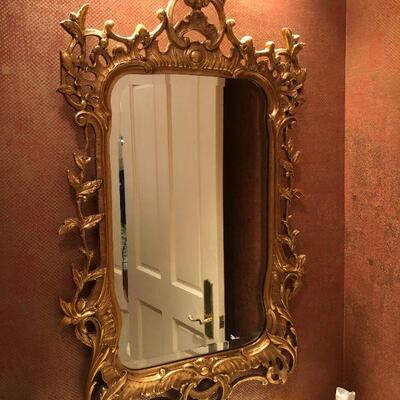 Bathroom Mirror 49 x 27 1/2