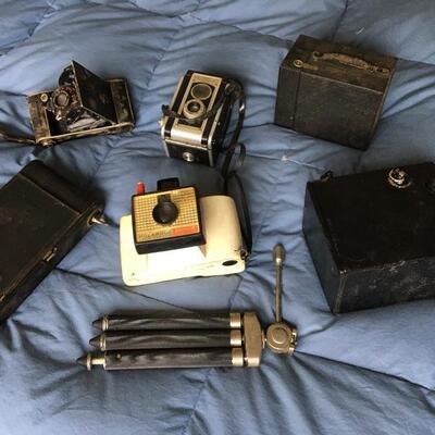 Collection of 6 Vintage Cameras and one Tripod. Includes Voigtlander, Brownie No 2, Polaroid Swinger, Kodak Duraflex and more...