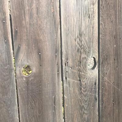 Reclaimed Antique Redwood Barn Door
