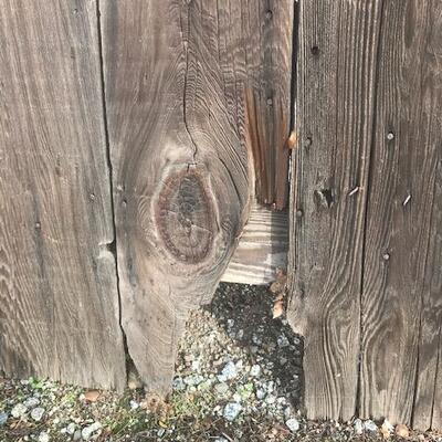 Reclaimed Antique Redwood Barn Door
