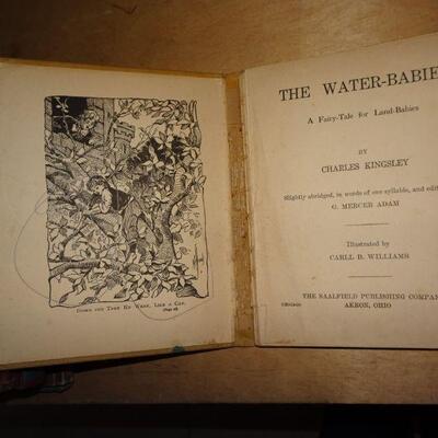 1905 Water Babies Book, In words of One Syllable / Illustrated. 