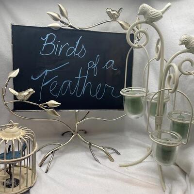 Lots of birds in this bird lot
