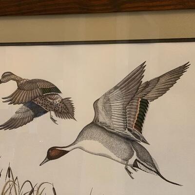 Pintails and Cattails Print