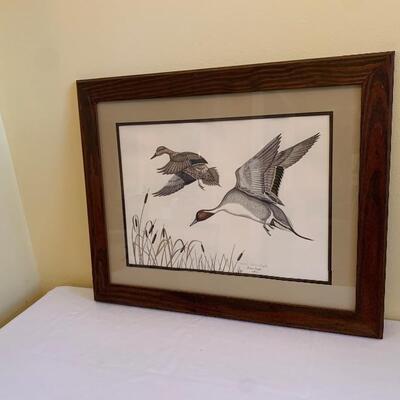 Pintails and Cattails Print