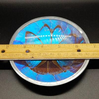 Lot 1 - Vintage Morpho Butterfly Wing Hanging Plate