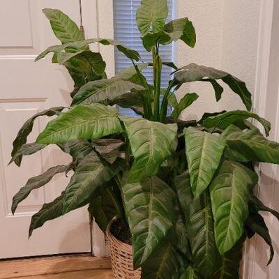 Lot 79: Large Artificial House Plant 46" Tall