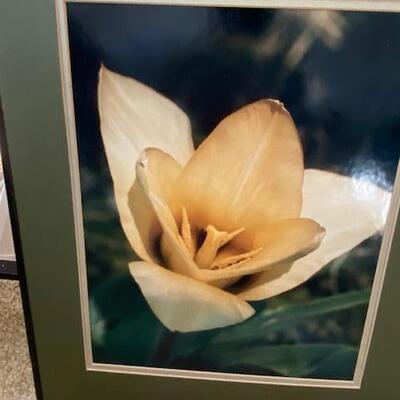 Lot 646 -  Framed Art