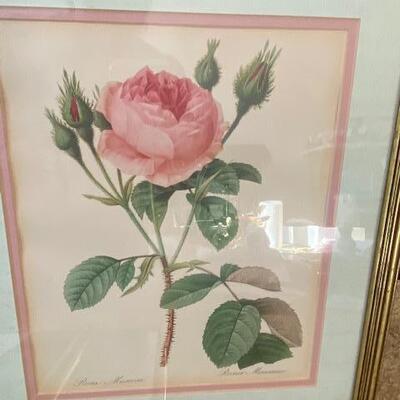 Lot 646 -  Framed Art