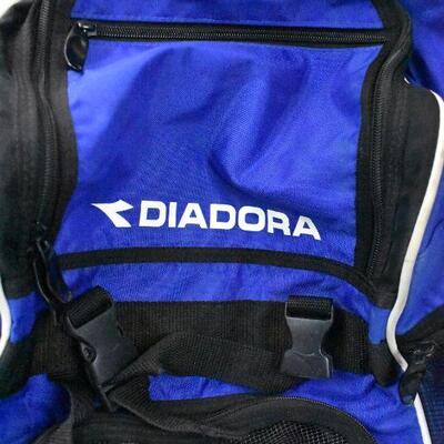 2 Backpacks: Blue/Black Diadora & Gray/Black MountainStar Ogden Regional Medical