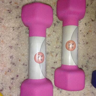 LOT 117  EXERCISE HAND WEIGHTS