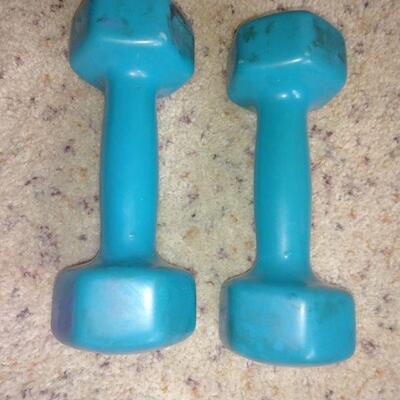 LOT 117  EXERCISE HAND WEIGHTS