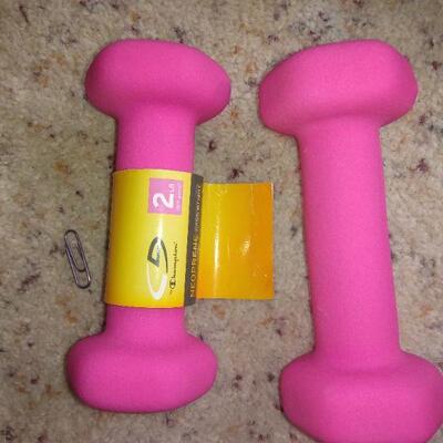 LOT 117  EXERCISE HAND WEIGHTS