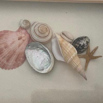 Lot 676 - Real Shell Art