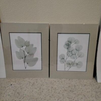 LOT 123   TWO GLASS FRAMED LEAF PICTURES & TWO FLORAL POSTERS