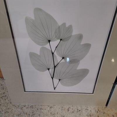 LOT 123   TWO GLASS FRAMED LEAF PICTURES & TWO FLORAL POSTERS