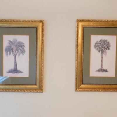 Set of Framed Art Prints of Palmetto Trees 21
