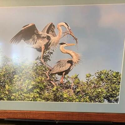 LOT#56LR2: Blue Heron Photo Oak Frame