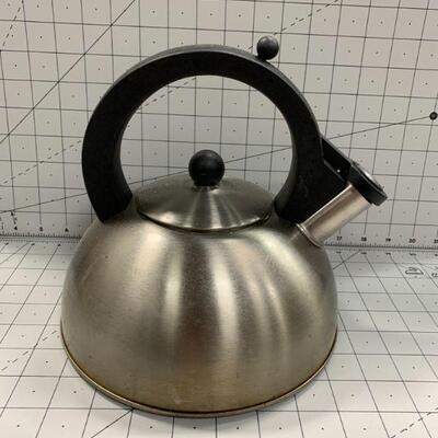 Stainless colored kettle