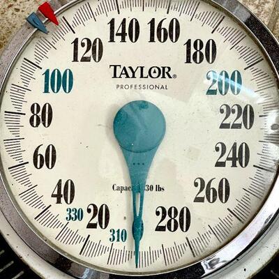 LOT 217  TAYLOR PROFESSIONAL BATHROOM SCALE LARGE DIAL 