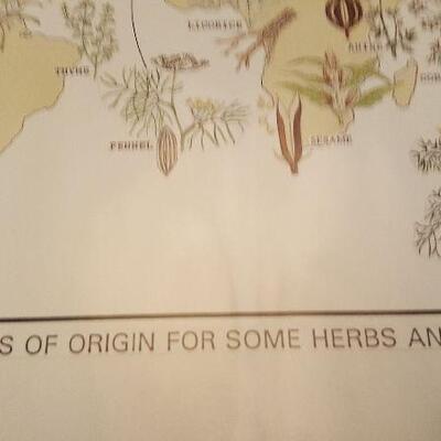 Poster/Chart of Centers of Origin for Some Herbs and Spices