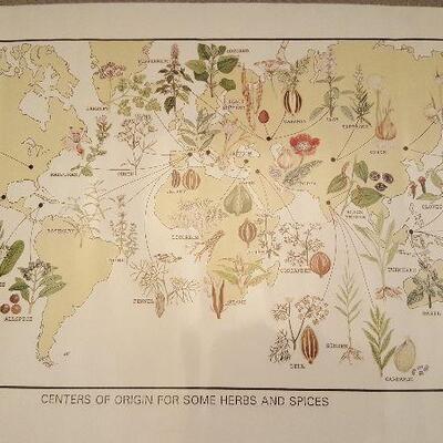 Poster/Chart of Centers of Origin for Some Herbs and Spices