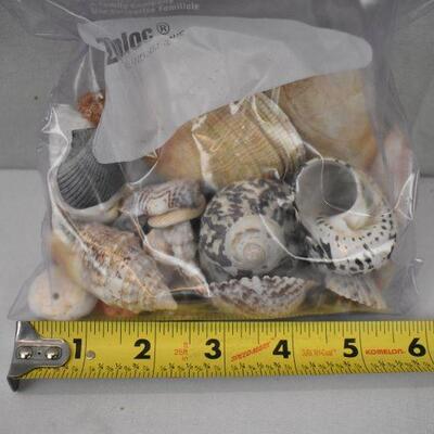 Ocean Decor: Ceramic Seahorse, Bag of Sea Shells, Wooden Whale Trinket Dish