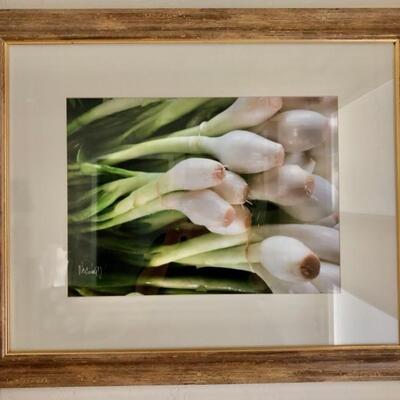 PhotosVeggieGrteenOnionLarge 33" x 27" $160