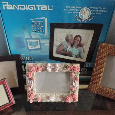 PANDIGITAL PICTURE FRAME