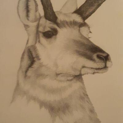 LIMITED # SKETCH 25/500 BY ERIC SHANTZ