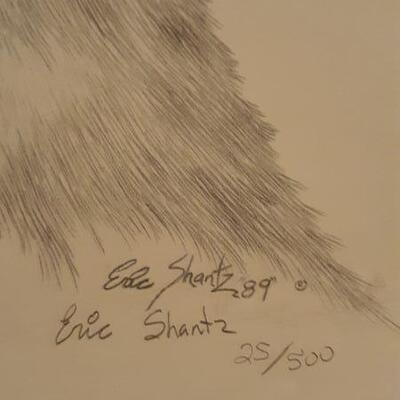 LIMITED # SKETCH 25/500 BY ERIC SHANTZ