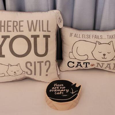 Lot 157: NEW Decorative Pillows and Quote Deco