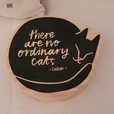 Lot 157: NEW Decorative Pillows and Quote Deco