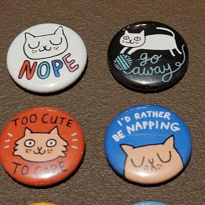Lot 207: NEW Kitty Button/Pins and (2) Magnets