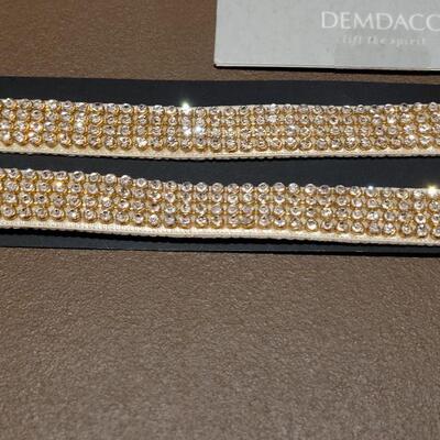 Lot 210: NEW Bling Bra Straps and Fashion Magnet 