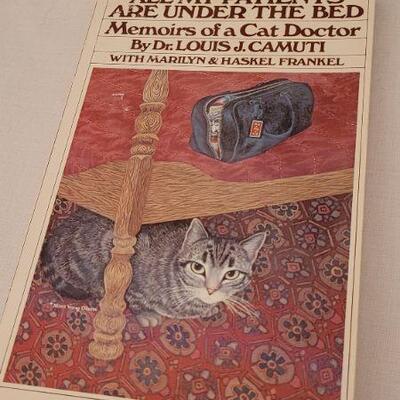 Lot 31: Assorted Cat Themed Books 
