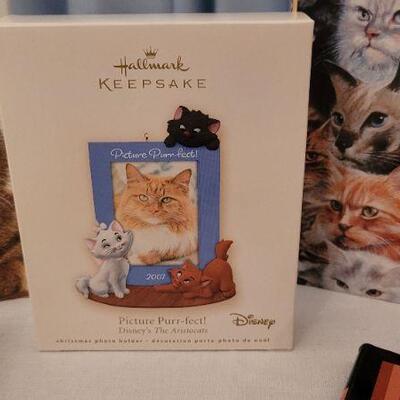 Lot 37: Assorted Hardback Cat Themed Books