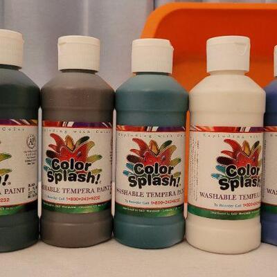 Lot 73: Assorted 85% or More COLOR SPLASH Washable Tempera Paint 