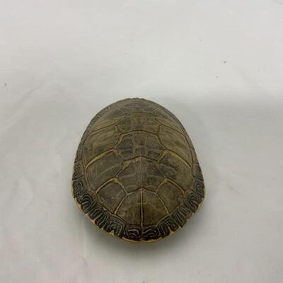 -32- VINTAGE | Turtle Shell