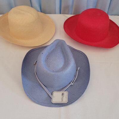 Lot 96: (3) Hats (1 New San Diego and (2) No Label)