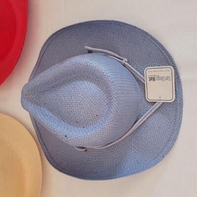 Lot 96: (3) Hats (1 New San Diego and (2) No Label)