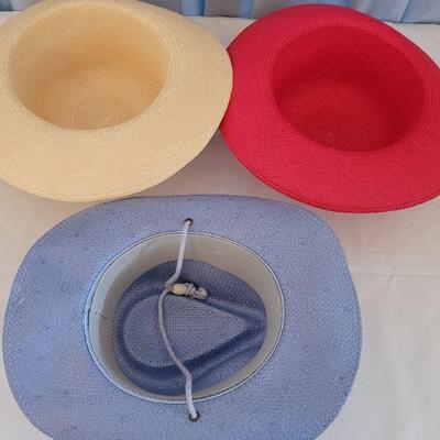 Lot 96: (3) Hats (1 New San Diego and (2) No Label)